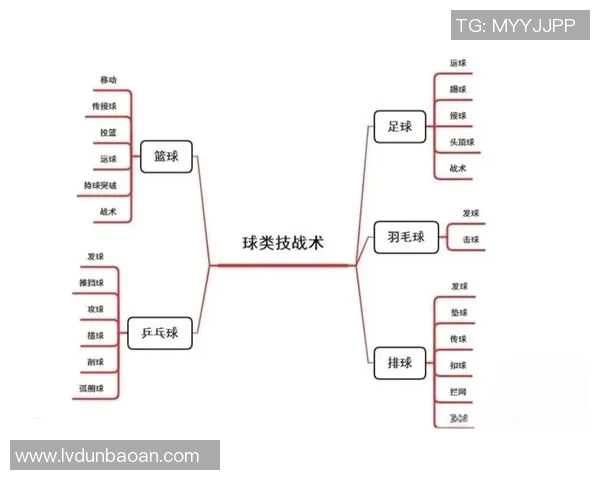 南京篮球队整体压制战术解析与实战应用探讨