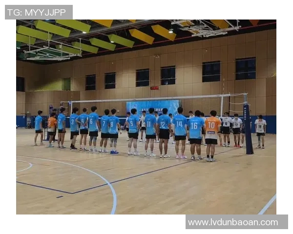 排球个人能力排行榜揭晓上海排球队荣登第四名引发热议