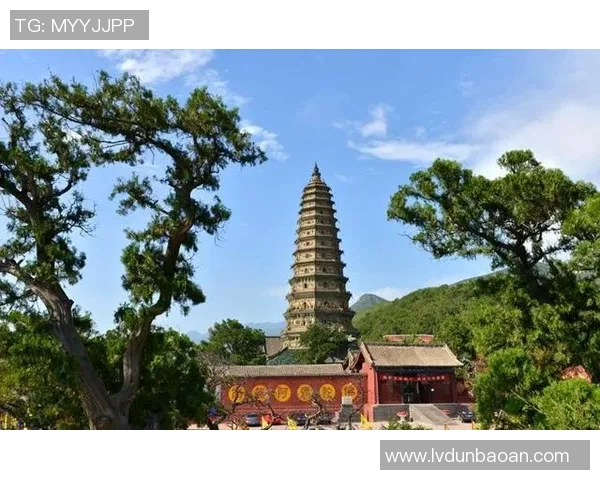 山西与四川农村的对比探讨：文化经济与生活方式的差异与共鸣